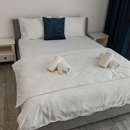 Alina'S Deluxe Apartment And Free Private Parking Dumbravita  Exterior foto