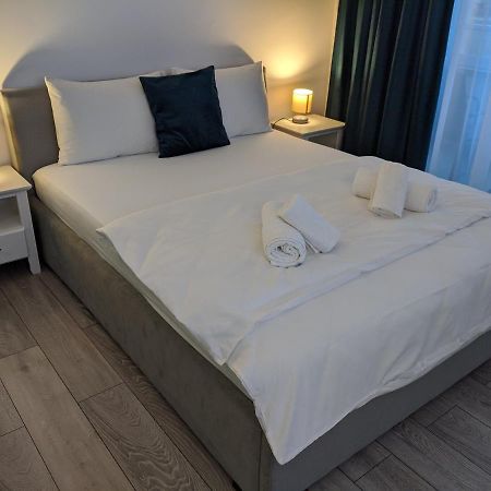 Alina'S Deluxe Apartment And Free Private Parking Dumbravita  Exterior foto