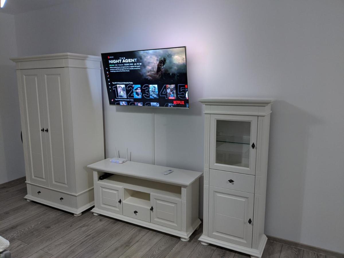 Alina'S Deluxe Apartment And Free Private Parking Dumbravita  Exterior foto