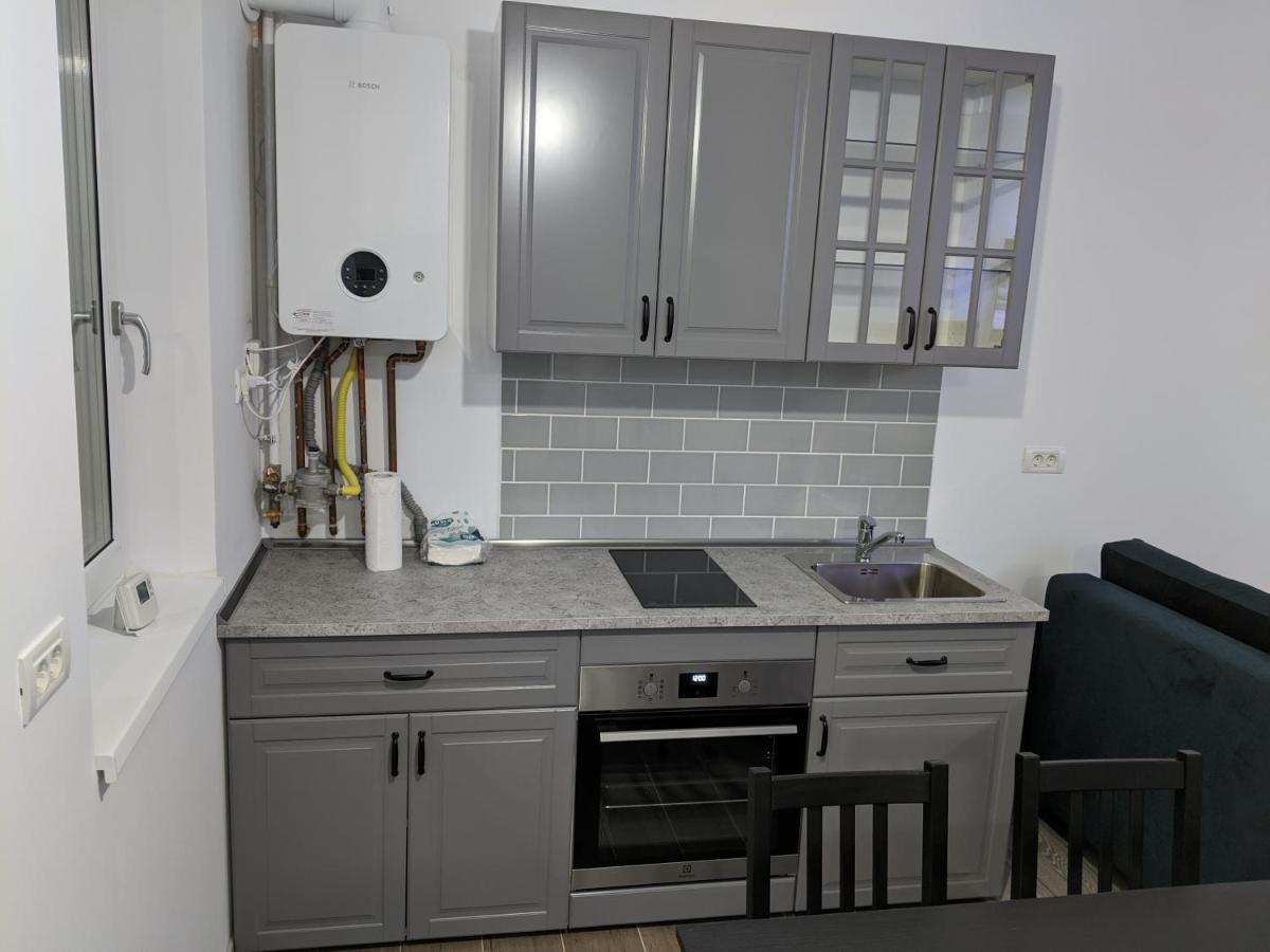 Alina'S Deluxe Apartment And Free Private Parking Dumbravita  Exterior foto