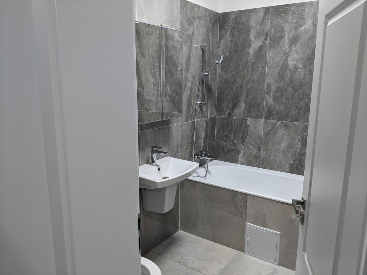 Alina'S Deluxe Apartment And Free Private Parking Dumbravita  Exterior foto