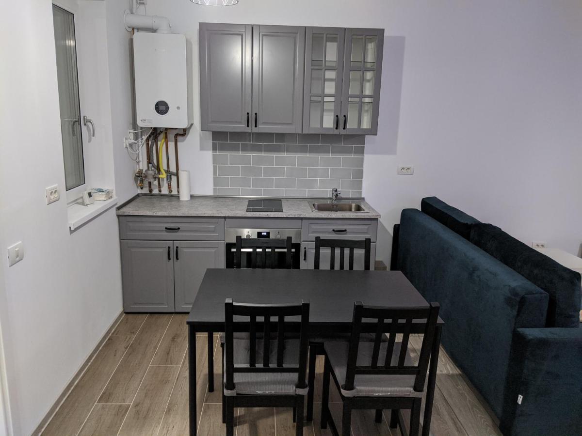 Alina'S Deluxe Apartment And Free Private Parking Dumbravita  Exterior foto