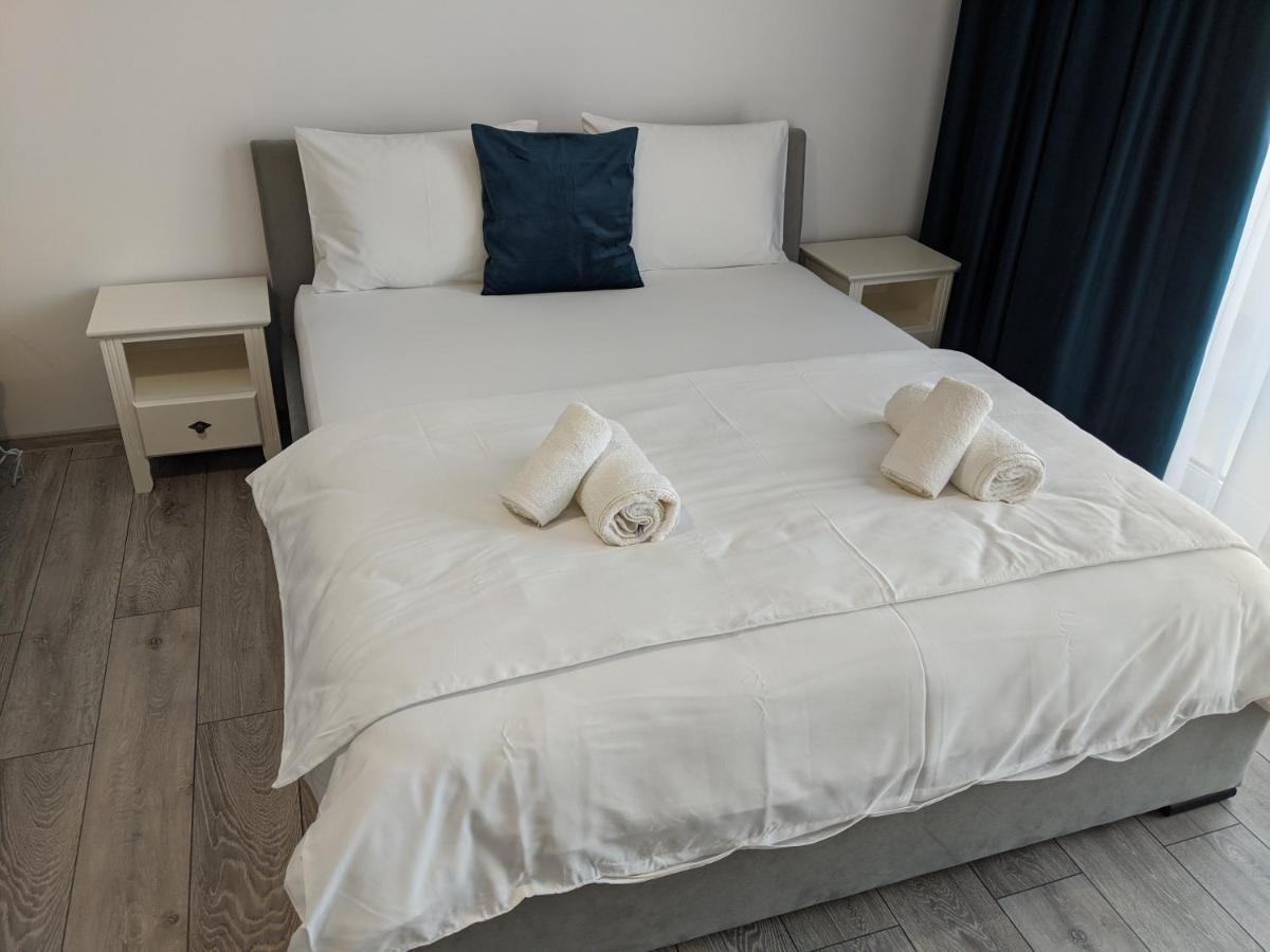 Alina'S Deluxe Apartment And Free Private Parking Dumbravita  Exterior foto