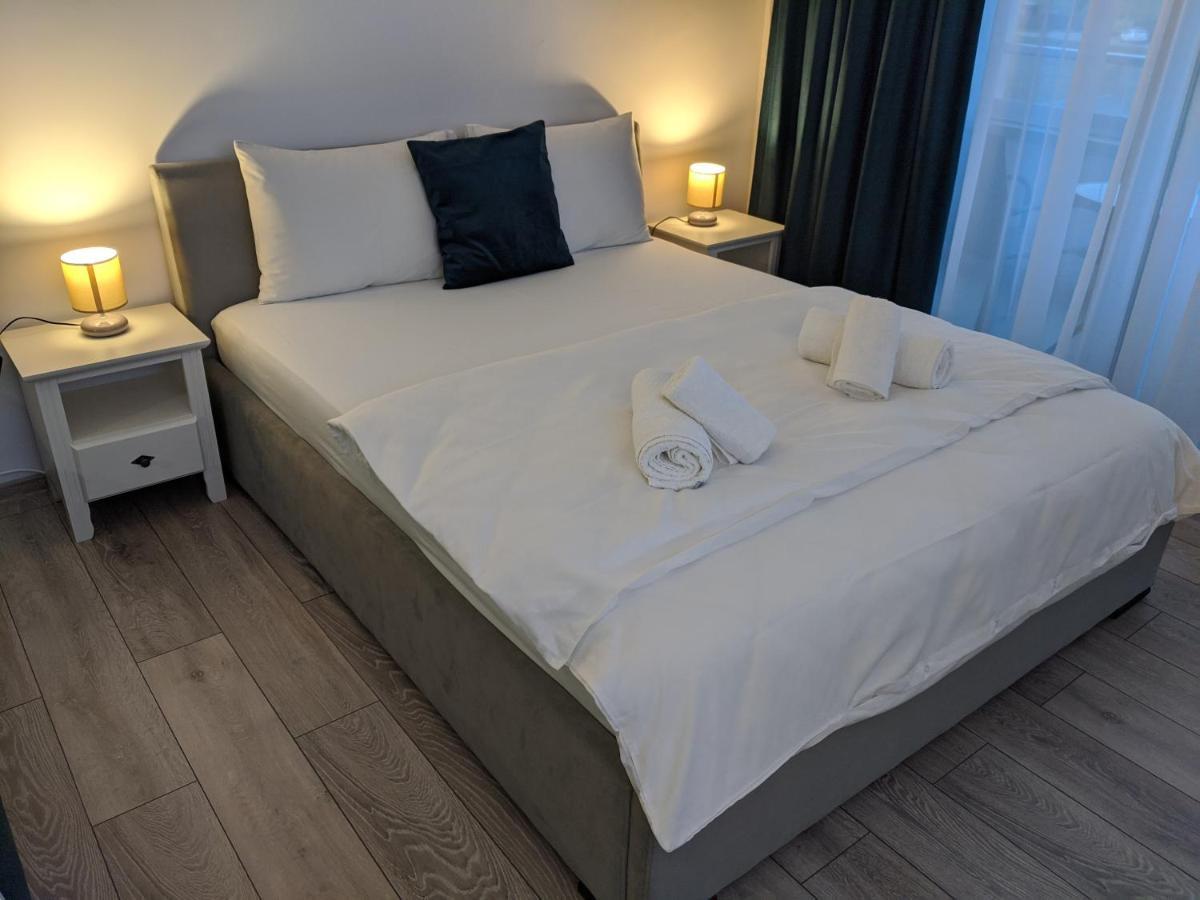 Alina'S Deluxe Apartment And Free Private Parking Dumbravita  Exterior foto